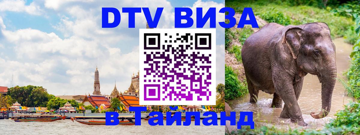 Оформление DTV визы под ключ: стоимость и тарифы, только загранпаспорт - 18.11.2025 